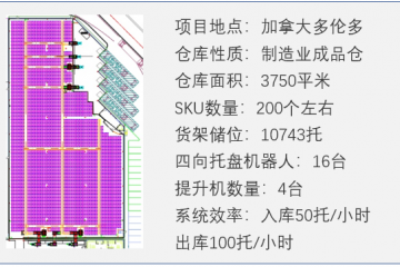 隆链大黄蜂出海记--冲出国门进入北美市场