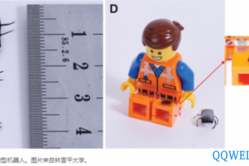 瑞典大学研究人员在3D打印机基础上研制出4D打印微米级软机器人